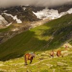 Il sentiero dall'Alpe Testanera